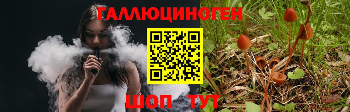 Алейск  где продают наркотики  Вход с VPN  Псилоцибиновые грибы GOLDEN TEACHER 
